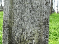 Wierzbica_770