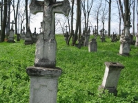 Wierzbica_771