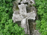 Wierzbica_773
