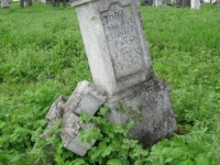 Wierzbica_774