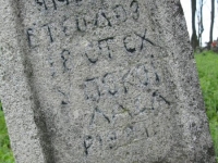 Wierzbica_775