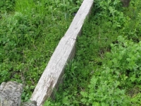 Wierzbica_776