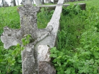 Wierzbica_777