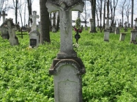 Wierzbica_784