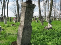 Wierzbica_851