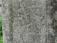 Wierzbica_317