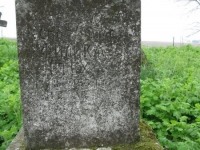 Wierzbica_323