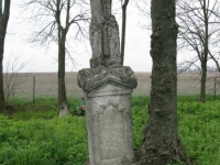 Wierzbica_325