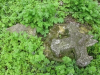Wierzbica_327