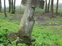 Wierzbica_328