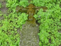 Wierzbica_331