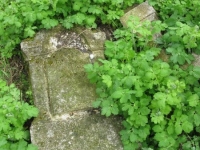 Wierzbica_336