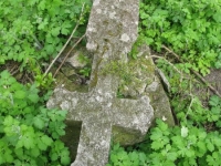 Wierzbica_337