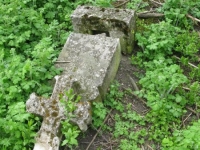 Wierzbica_338
