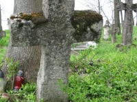 Wierzbica_339