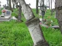 Wierzbica_342