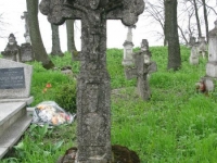 Wierzbica_345