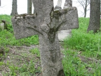 Wierzbica_350