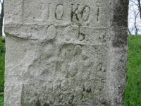 Wierzbica_353