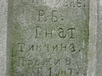 Wierzbica_355