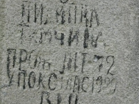 Wierzbica_366