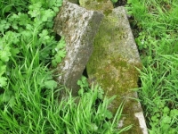 Wierzbica_367