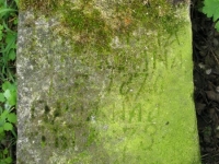 Wierzbica_368