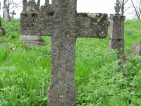 Wierzbica_373
