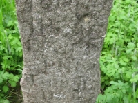 Wierzbica_375