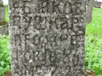 Wierzbica_378