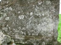 Wierzbica_380