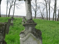 Wierzbica_381