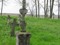Wierzbica_383
