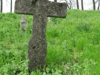 Wierzbica_384