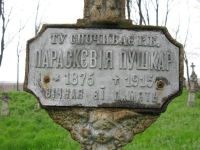 Wierzbica_392