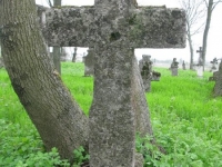 Wierzbica_395