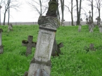 Wierzbica_397