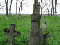 Wierzbica_401
