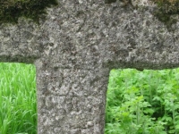 Wierzbica_402