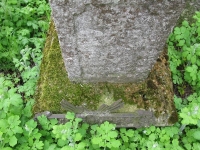 Wierzbica_403