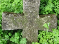 Wierzbica_407