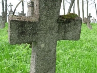 Wierzbica_411