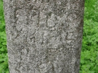 Wierzbica_419