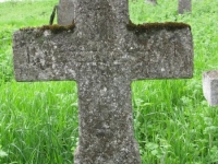 Wierzbica_422