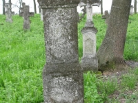 Wierzbica_425