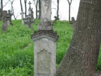 Wierzbica_427