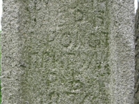 Wierzbica_429