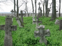 Wierzbica_432