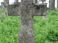 Wierzbica_433
