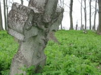 Wierzbica_435